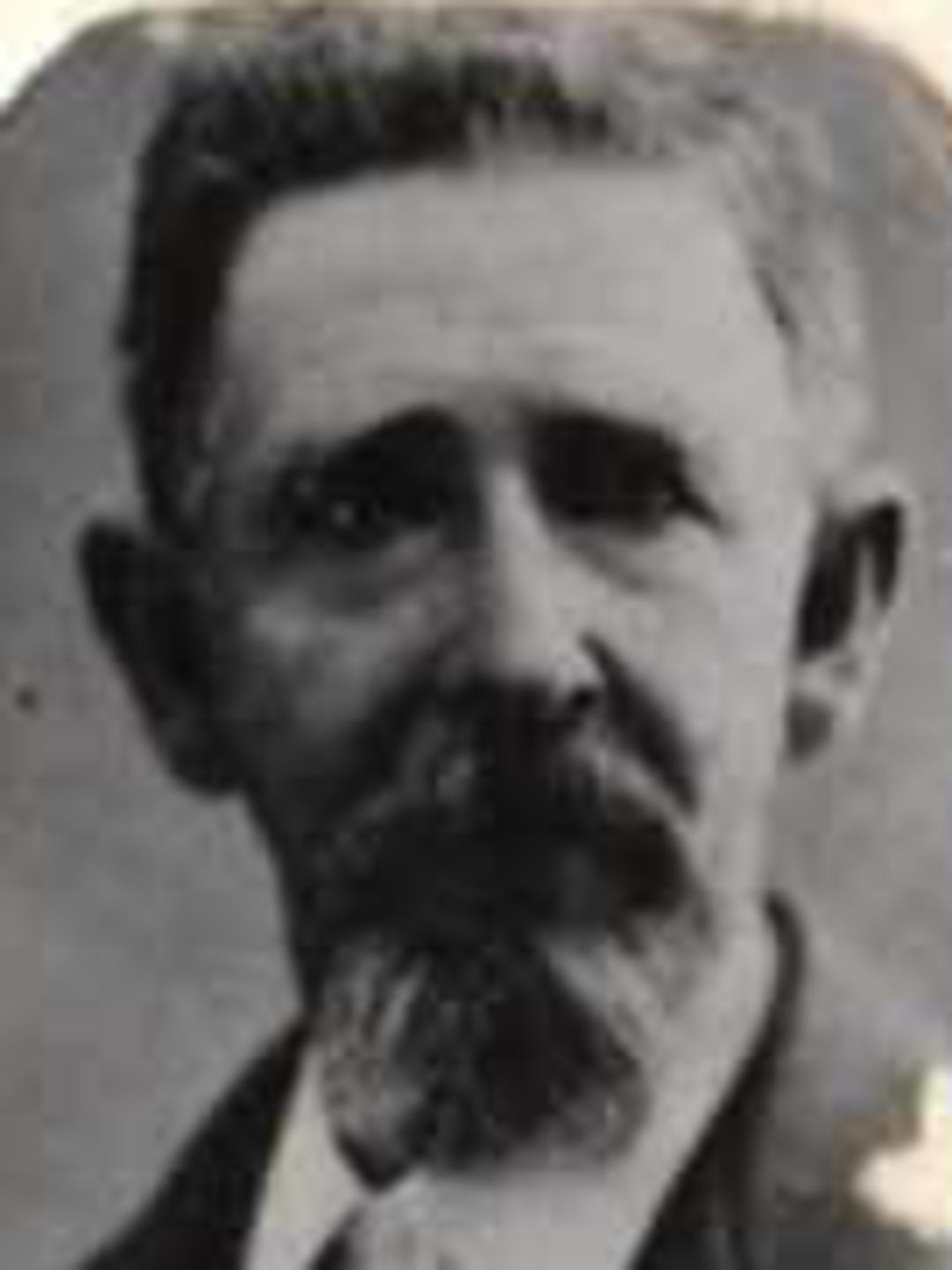 Henry Goldsbrough (1823 - 1901) Profile